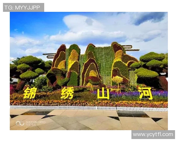 《世界足球巨星的光辉轨迹探秘高难度球技背后的传奇人物》