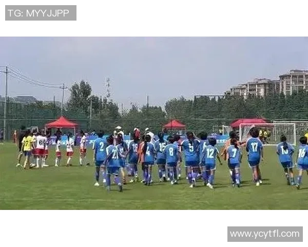 足球明星精彩瞬间拼图集锦，感受绿茵场上英雄们的光辉与激情