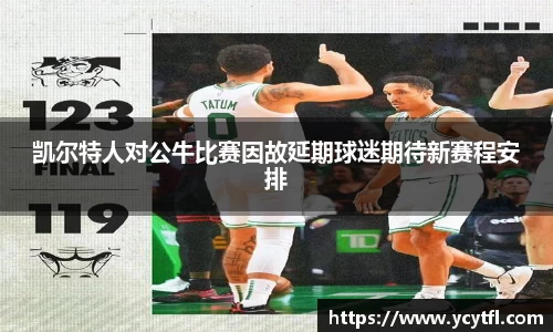 凯尔特人对公牛比赛因故延期球迷期待新赛程安排