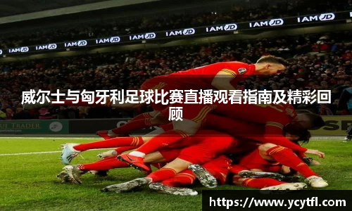 威尔士与匈牙利足球比赛直播观看指南及精彩回顾